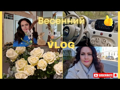 Видео: Новый весенний Vlog. Аксессуары для 🏠. Шопинг 🤩. 🙋‍♀️. Обзор покупок 💯. Новые 📚.