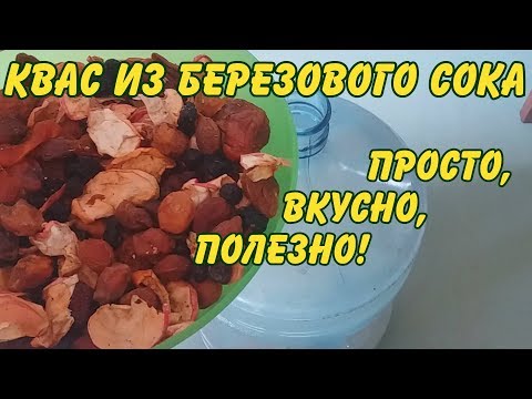 Видео: квас из березового сока - просто, быстро, полезно