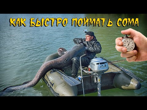 Видео: Секреты быстрой рыбалки на сома для занятых людей  /  Виталий Дальке о рыбалке #28