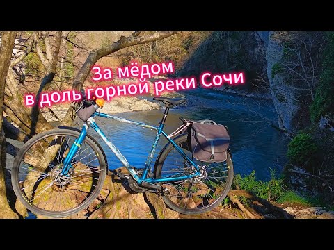 Видео: За мёдом вдоль горной реки Сочи.