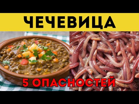 Видео: Внимание, Пожилые Люди! Эти 5 Ошибок С Чечевицей Вредят Вашему Здоровью. Избегайте Их Уже Сейчас!