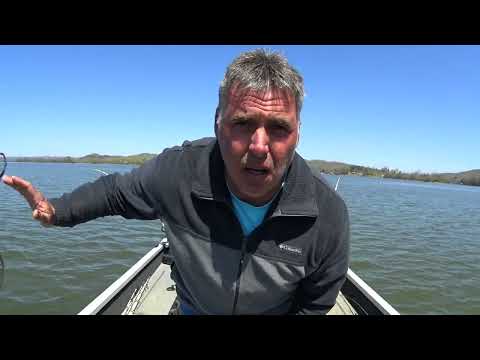 Видео: Ловля сома на якоре против волочения