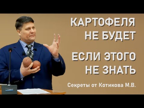 Видео: Как получить большой урожай картофеля? Разбираем ошибки и лучшие сорта!
