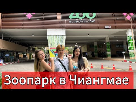 Видео: ЗООПАРК В ЧИАНГМАЕ ! ТАЙЛАНД ! 
