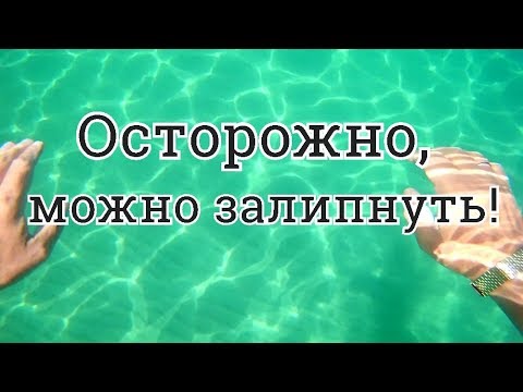 Видео: Пляжный поиск под водой в Черногории!Ищем без металлоискателя!Коп в невесомости!
