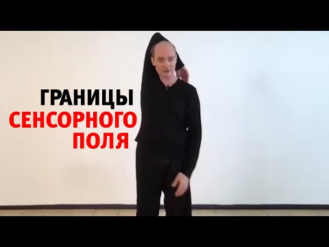 Видео: Границы сенсорного поля