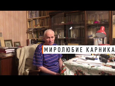 Видео: Миролюбие Карника - Парк Плюс