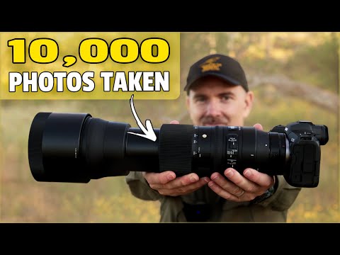 Видео: Sigma 150-600mm Современный обзор для фотографии птиц и дикой природы