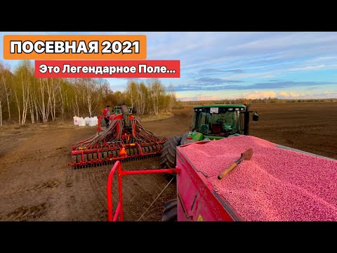 Видео: ПОСЕВНАЯ 2021! Вырвали с Корнями тот Самый Пень. Буханка + Бездорожье!