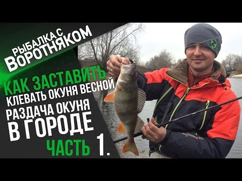 Видео: Как заставить клевать окуня весной. Раздача весеннего окуня. Часть 1