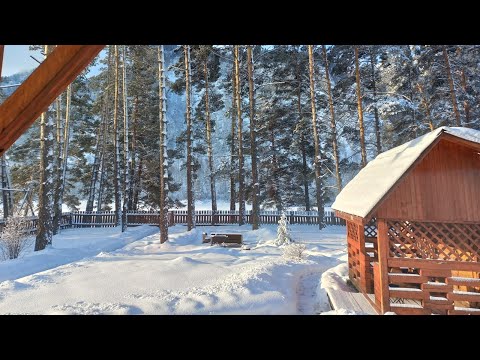 Видео: Алтай. Отдых. Дом на берегу Катуни. 