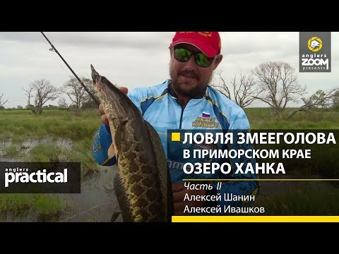 Видео: Ловля змееголова в Приморском крае. Озеро Ханка.  А. Шанин, А. Ивашков, Часть 2. Anglers Practical