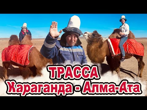 Видео: Трасса Караганда - Алма-Ата