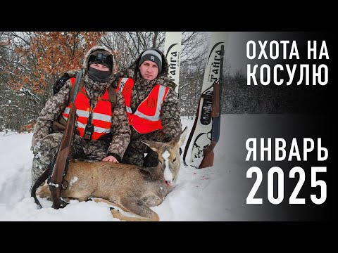 Видео: ❄️ 🦌 Охота на косулю в метель!