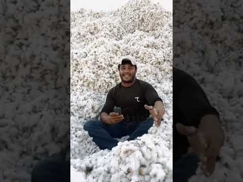 Видео: дуслар халк бахшиси Азаммаджон Собиров акамизди кулаймиз