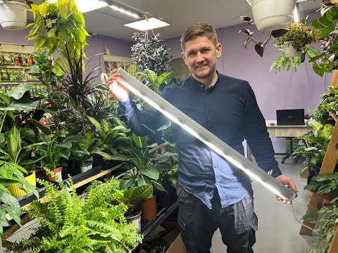 Видео: Фитосвет наш опыт