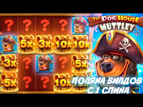 Видео: НОВЫЙ СЛОТ THE DOG HOUSE MUTTLEY CREW / ДИКАЯ ВЫДАЧА ПОЛЯНА ВИЛДОВ + ПРОМОКОД #заносы #slot #win