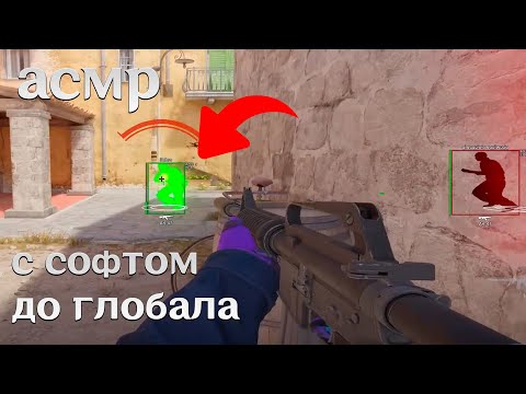 Видео: АСМР CS2 | ДО ГЛОБАЛА С СОФТОМ В НАПАРНИКАХ!