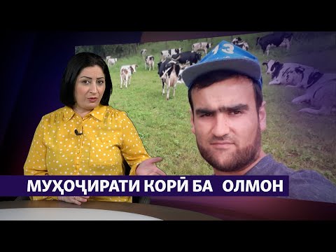 Видео: Олмон (Германия) муҳоҷирони кории тоҷикро қабул мекунад (Рӯзгори муҳоҷир #14)