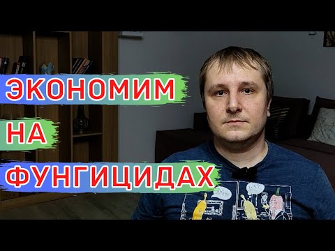 Видео: Био фунгициды вместо химических. Опыты на Пшенице.