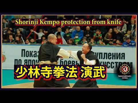 Видео: Техника Сёриндзи Кэмпо, защита от ножа, парное Эмбу.