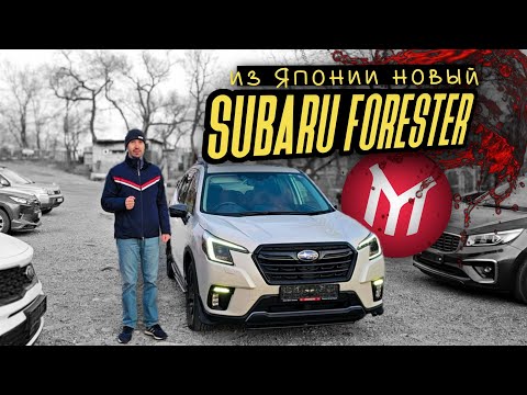 Видео: ОБЗОР Новый Subaru Forester из Японии