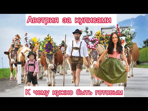 Видео: Загадки Австрийского Менталитета#австрия