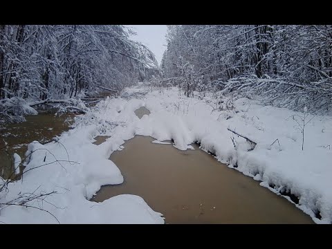 Видео: Стрим 🔴