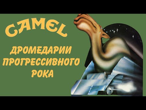 Видео: Camel - Дромедарии прогрессивного рока