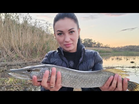 Видео: ПРИЕХАЛИ НА РЫБАЛКУ .НАЛОВИЛИ ЩУКУ НА БУТЫЛКИ С ЛОДКИ НА ЖИВЦА.