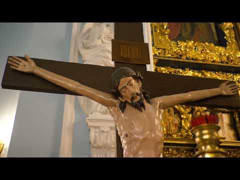 Видео: 101 ПСАЛОМ | ЗНАМЕНСКИЙ ХРАМ | ДУБРОВИЦЫ