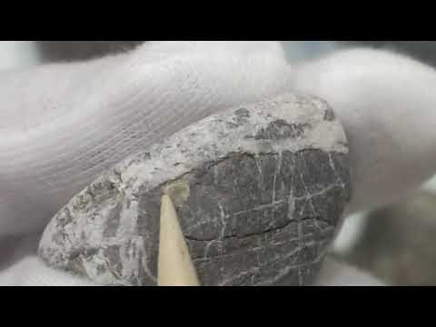 Видео: Обзор новых метеоритов из моей коллекции ч.6