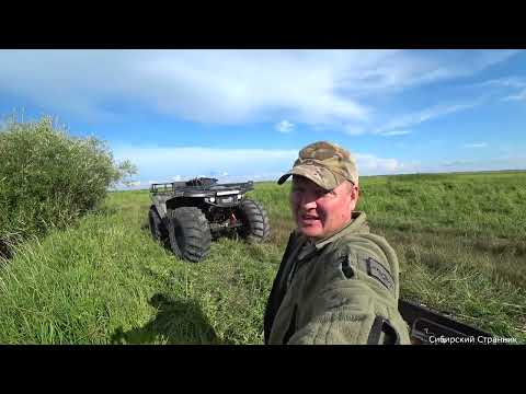 Видео: Купил таблетки для рыбы . Теперь будем ловить еще больше.