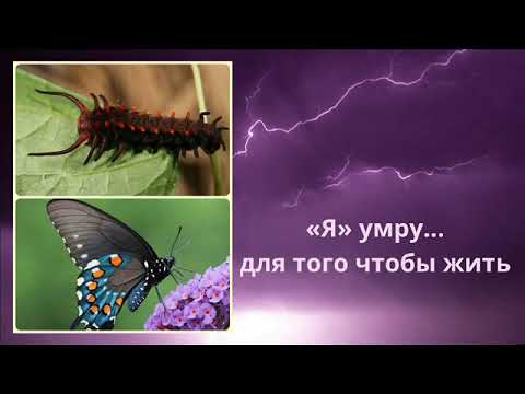 Видео: "Перерождение".... Беседа после семинара  с Сергеем П. Железноводск