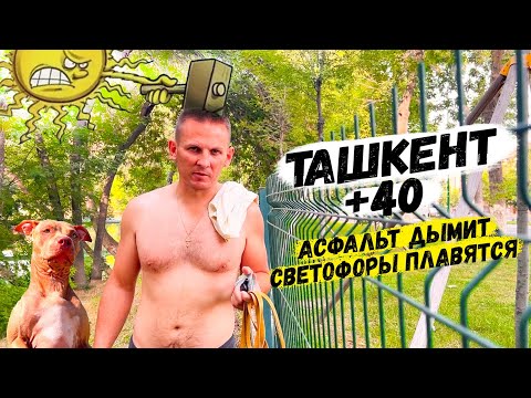Видео: ТУРИСТЫ В ТАШКЕНТЕ МЕЧТАЮТ О ЭТИХ РАЙСКИХ МЕСТАХ ДЛЯ ПРОГУЛОК И КУПАНИЯ В СИЛЬНУЮ ЖАРУ!
