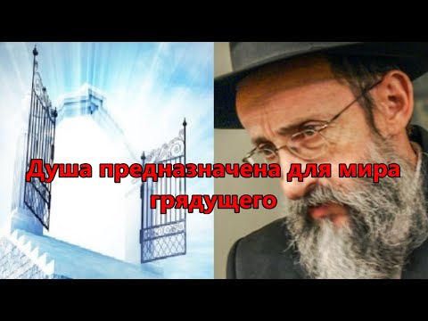 Видео: Душа предназначена для мира грядущего. Рав Ашер Кушнир