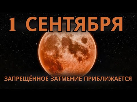 Видео: ⚠️Вселенная выбрала вас, чтобы вы стали свидетелем этого уникального события⚠️