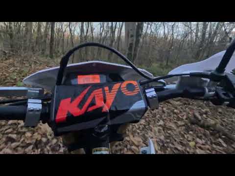 Видео: Дубрава под Юцой. 4 ноября 2025 г.