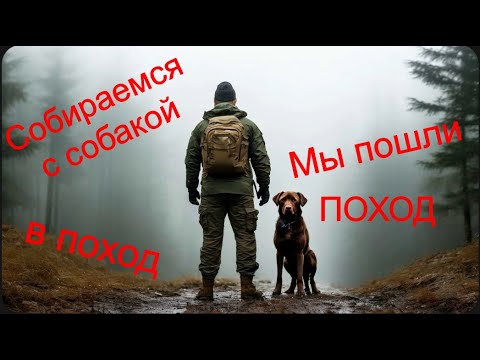 Видео: мы идём в поход