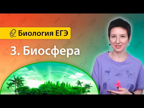 Видео: 3. Биосфера | Экология | БИОЛОГИЯ ЕГЭ