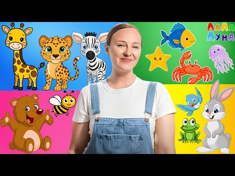 Видео: Мега Сборник  - Лучшие Песни на Запуск Речи для Детей! #мультик #детям #топ