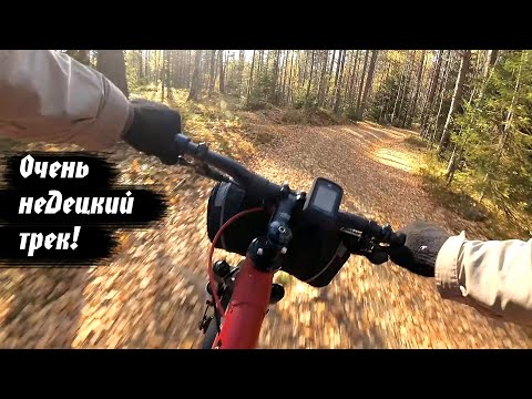 Видео: Вело ТРОПА в ОРЕХОВО || Полная инспекция маршрута!