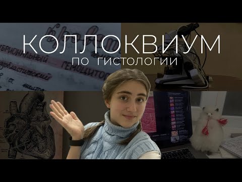 Видео: КОЛЛОКВИУМ по гистологии | что это, как сдаем, подготовка, результаты