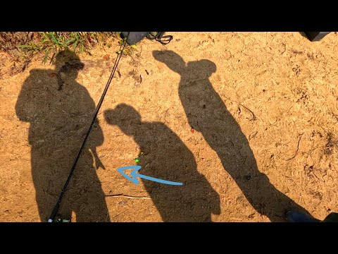 Видео: Какой-то монстр сбивает спиннинг 🎣  Рыбалка на реке Оке!!! Ловля рыбы на живца 🐟