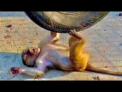 Видео: Маняша РАДУЕТСЯ ЖИЗНИ, а Степа то не прочь поджениться на Люське, то дерется так, что не разнимешь)