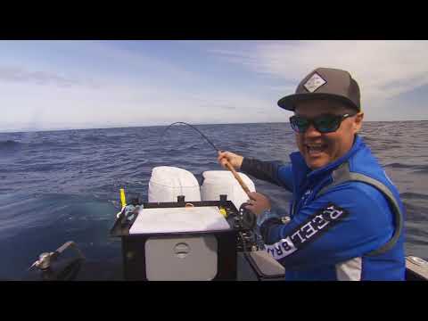 Видео: IFISH — рождественский выпуск