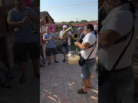 Видео: Ставерци