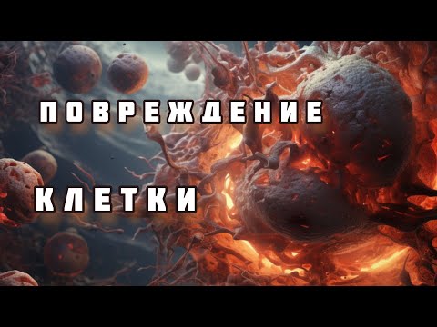 Видео: ПОВРЕЖДЕНИЕ КЛЕТКИ. ПАТОФИЗИОЛОГИЯ