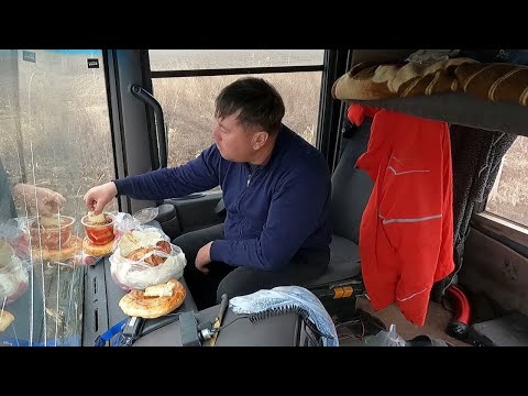 Видео: СУТКАМИ В СТЕПИ или КАБИНА ВТОРОЙ ДОМ | Трактор К-700 с кабиной Renault Magnum
