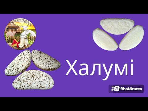 Видео: 22.04.24. Сир ХАЛУМІ від А до Я